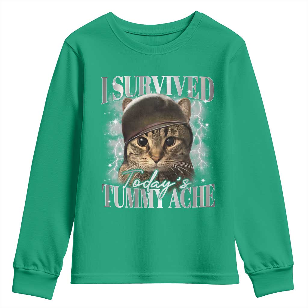 Tummy Ache Survivor Cat Meme Youth Sweatshirt Funny Saying Cats Cat Bootleg - Wonder Print Shop