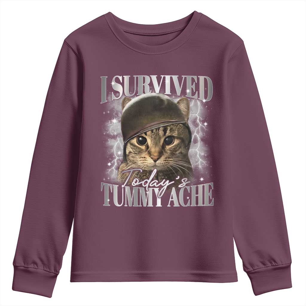 Tummy Ache Survivor Cat Meme Youth Sweatshirt Funny Saying Cats Cat Bootleg - Wonder Print Shop