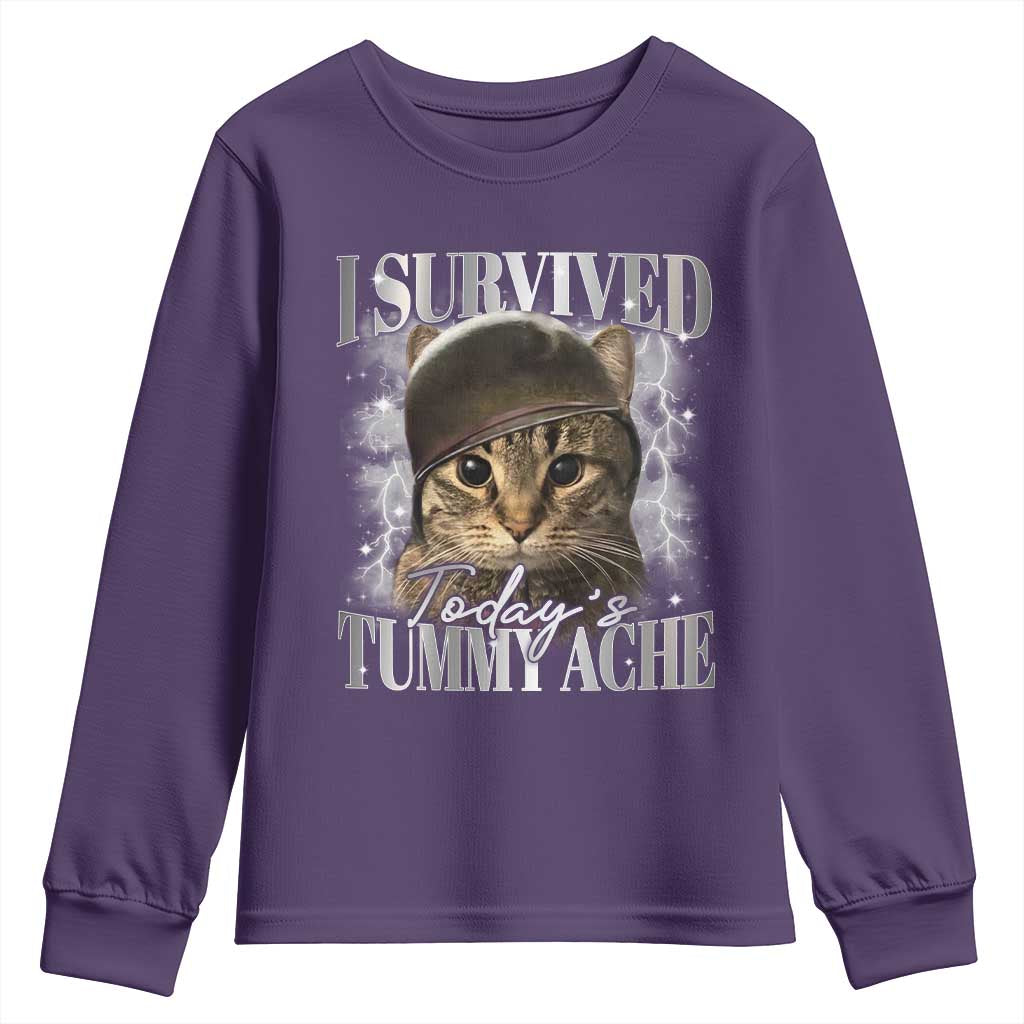 Tummy Ache Survivor Cat Meme Youth Sweatshirt Funny Saying Cats Cat Bootleg - Wonder Print Shop