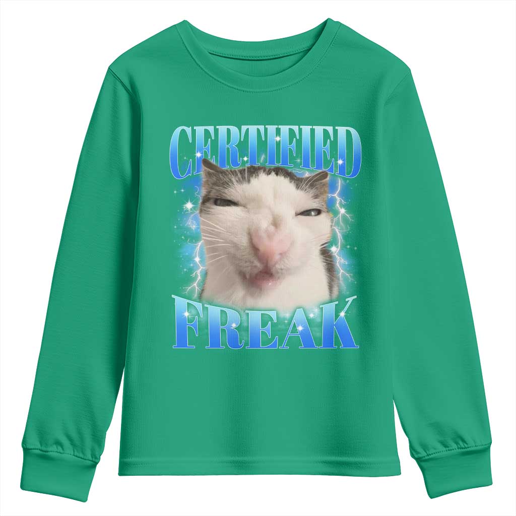 Certified Freak Funny Cat Meme Youth Sweatshirt Internet Memes Gen Z - Wonder Print Shop