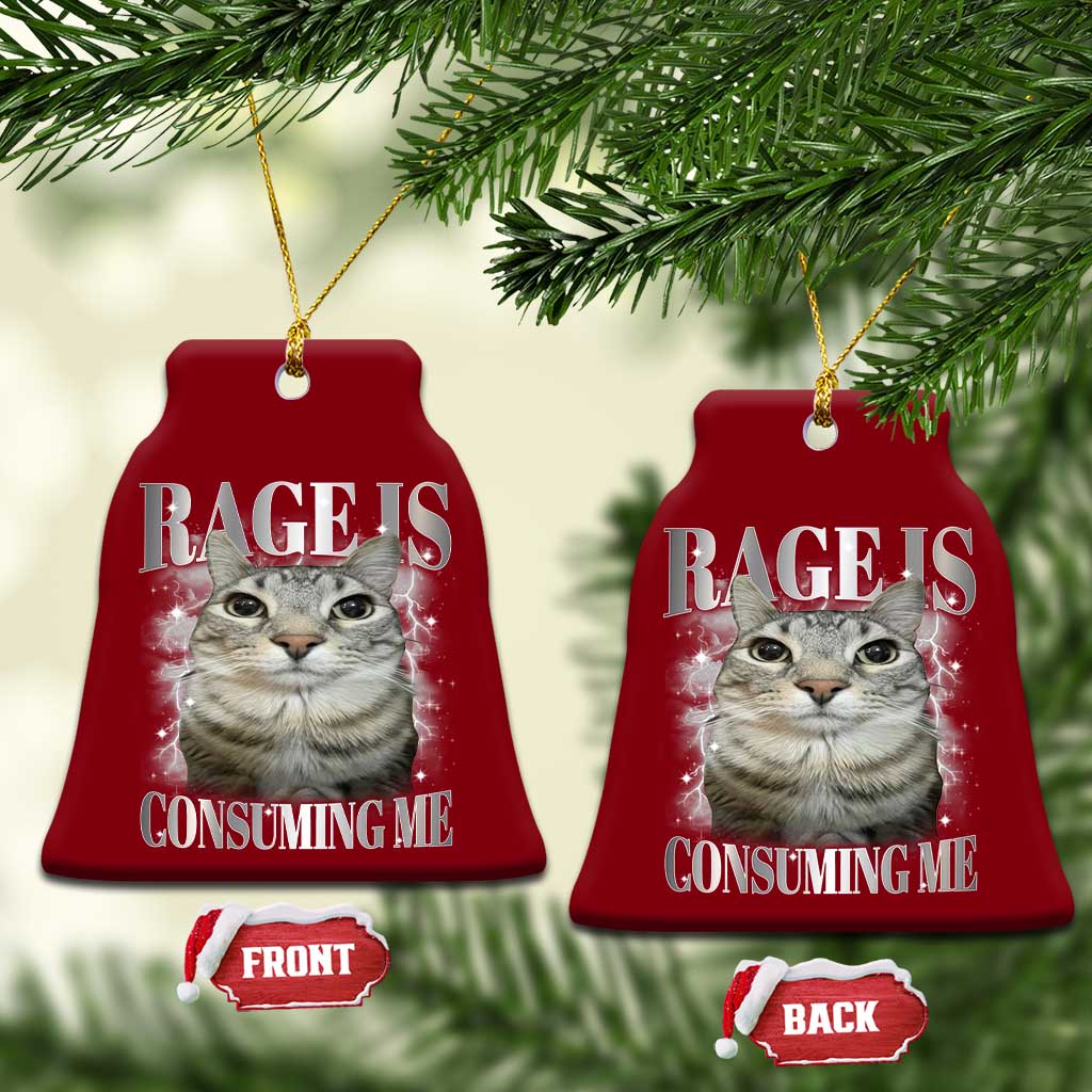 Rage Is Consuming Me Ceramic Ornament Funny Silly Cat Memes - Wonder Print Shop