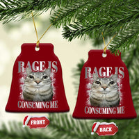 Rage Is Consuming Me Ceramic Ornament Funny Silly Cat Memes - Wonder Print Shop