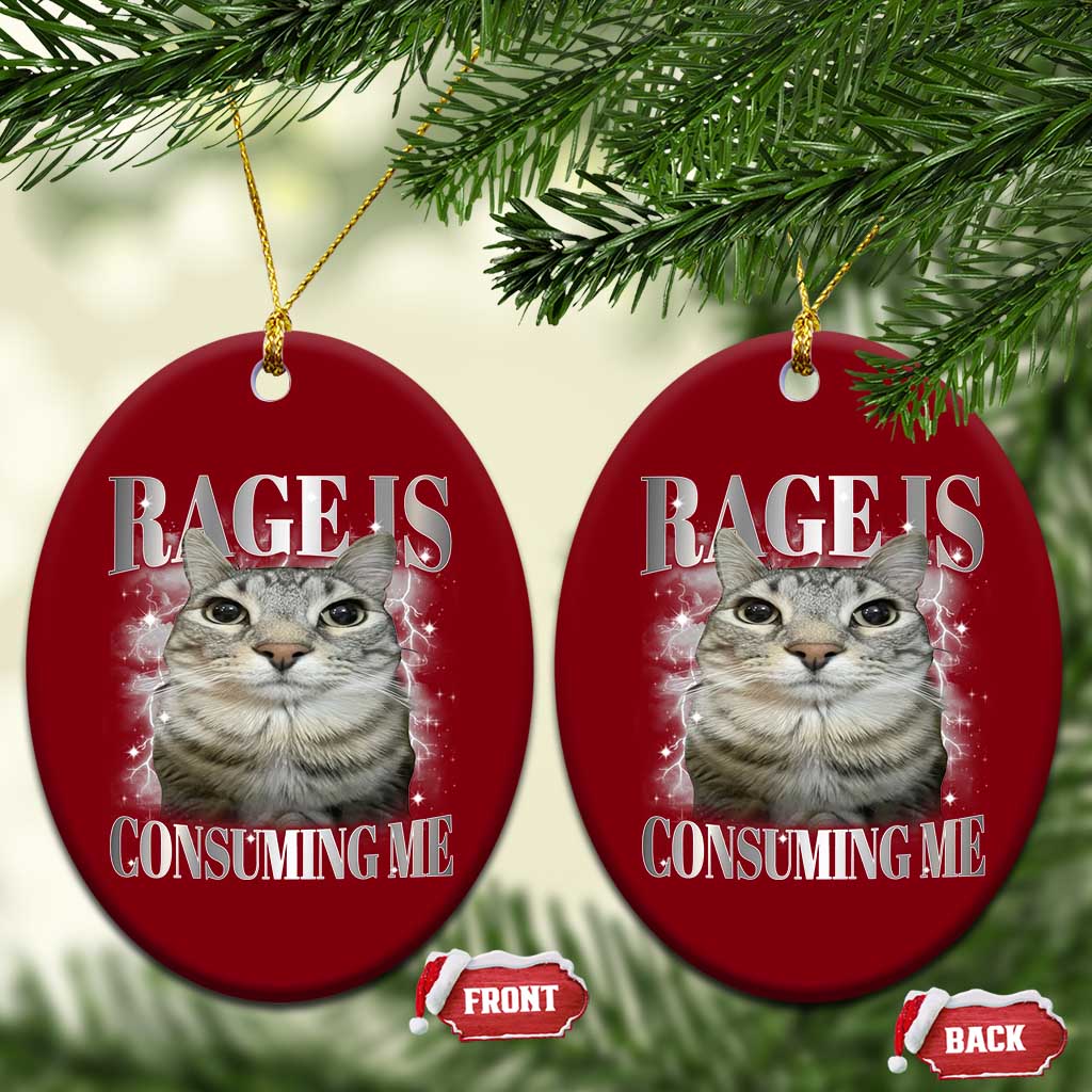 Rage Is Consuming Me Ceramic Ornament Funny Silly Cat Memes - Wonder Print Shop