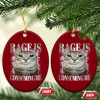 Rage Is Consuming Me Ceramic Ornament Funny Silly Cat Memes - Wonder Print Shop
