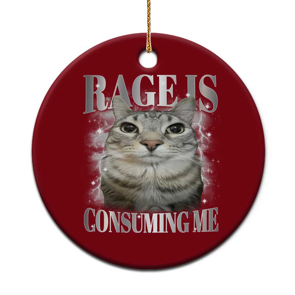 Rage Is Consuming Me Ceramic Ornament Funny Silly Cat Memes - Wonder Print Shop
