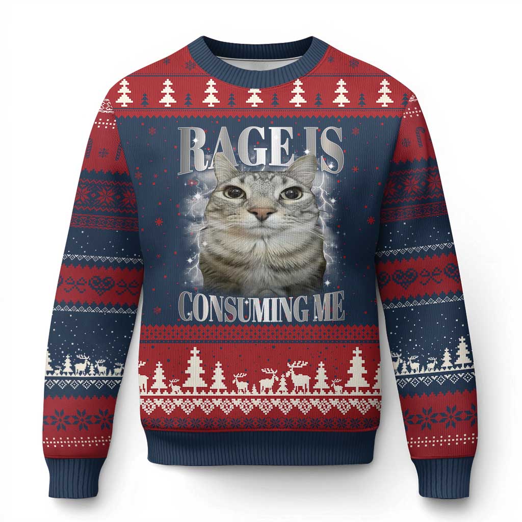 Rage Is Consuming Me Ugly Christmas Sweater Funny Silly Cat Memes - Wonder Print Shop