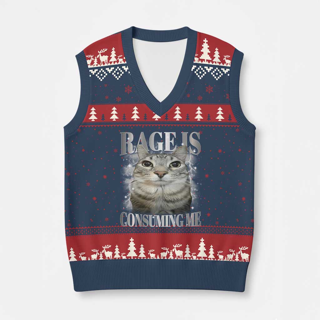 Rage Is Consuming Me V-Neck Knit Sweater Vest Funny Silly Cat Memes - Wonder Print Shop