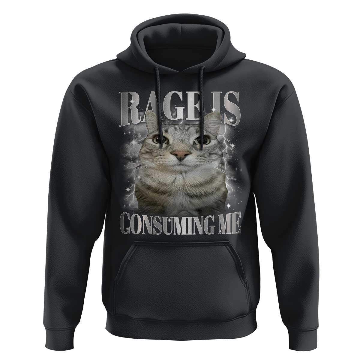 Rage Is Consuming Me Hoodie Funny Silly Cat Memes - Wonder Print Shop