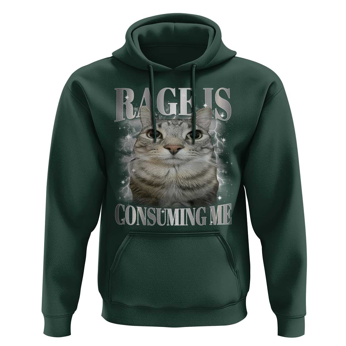 Rage Is Consuming Me Hoodie Funny Silly Cat Memes - Wonder Print Shop