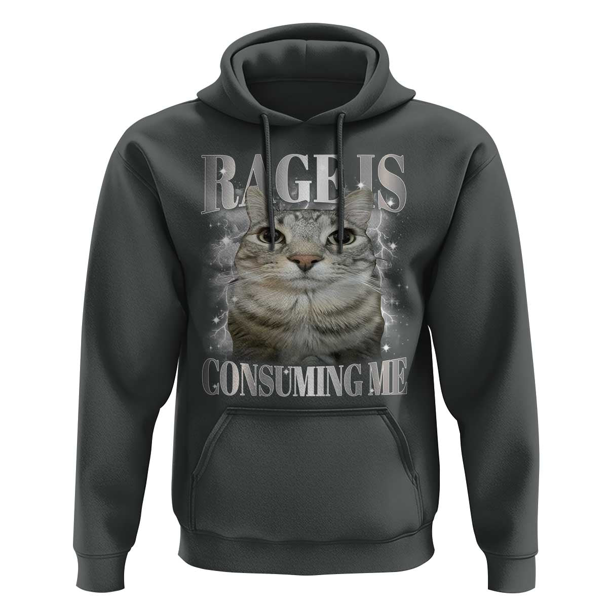Rage Is Consuming Me Hoodie Funny Silly Cat Memes - Wonder Print Shop