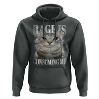 Rage Is Consuming Me Hoodie Funny Silly Cat Memes - Wonder Print Shop