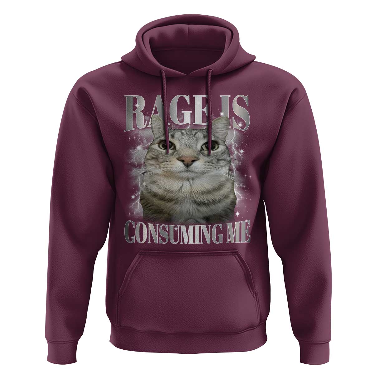 Rage Is Consuming Me Hoodie Funny Silly Cat Memes - Wonder Print Shop