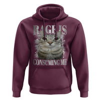 Rage Is Consuming Me Hoodie Funny Silly Cat Memes - Wonder Print Shop