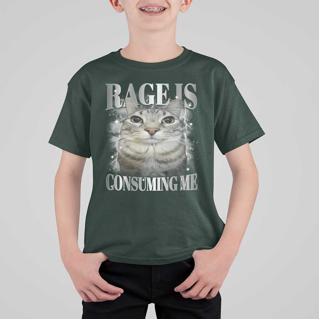 Rage Is Consuming Me T Shirt For Kid Funny Silly Cat Memes - Wonder Print Shop
