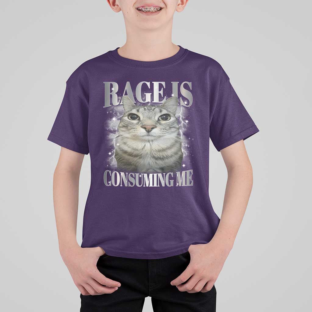 Rage Is Consuming Me T Shirt For Kid Funny Silly Cat Memes - Wonder Print Shop
