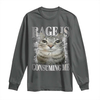 Rage Is Consuming Me Long Sleeve Shirt Funny Silly Cat Memes - Wonder Print Shop
