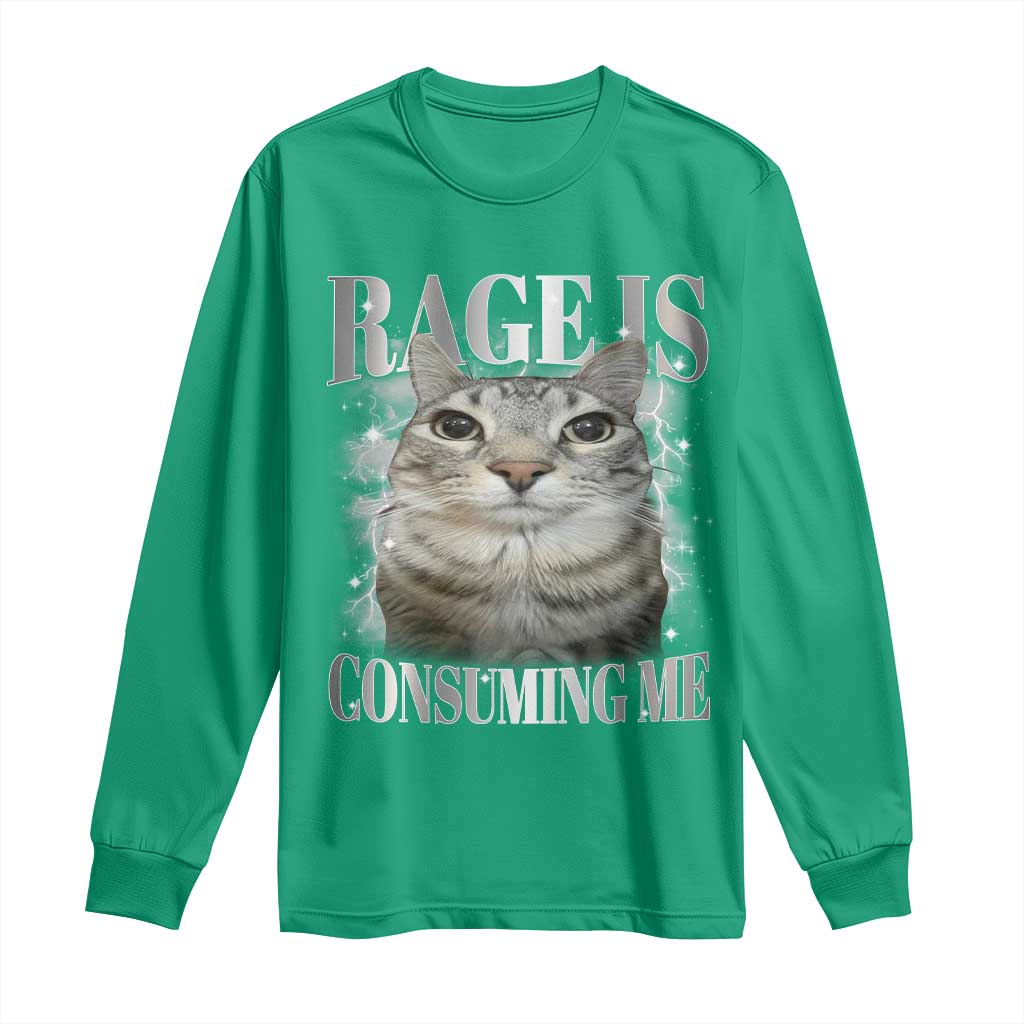 Rage Is Consuming Me Long Sleeve Shirt Funny Silly Cat Memes - Wonder Print Shop