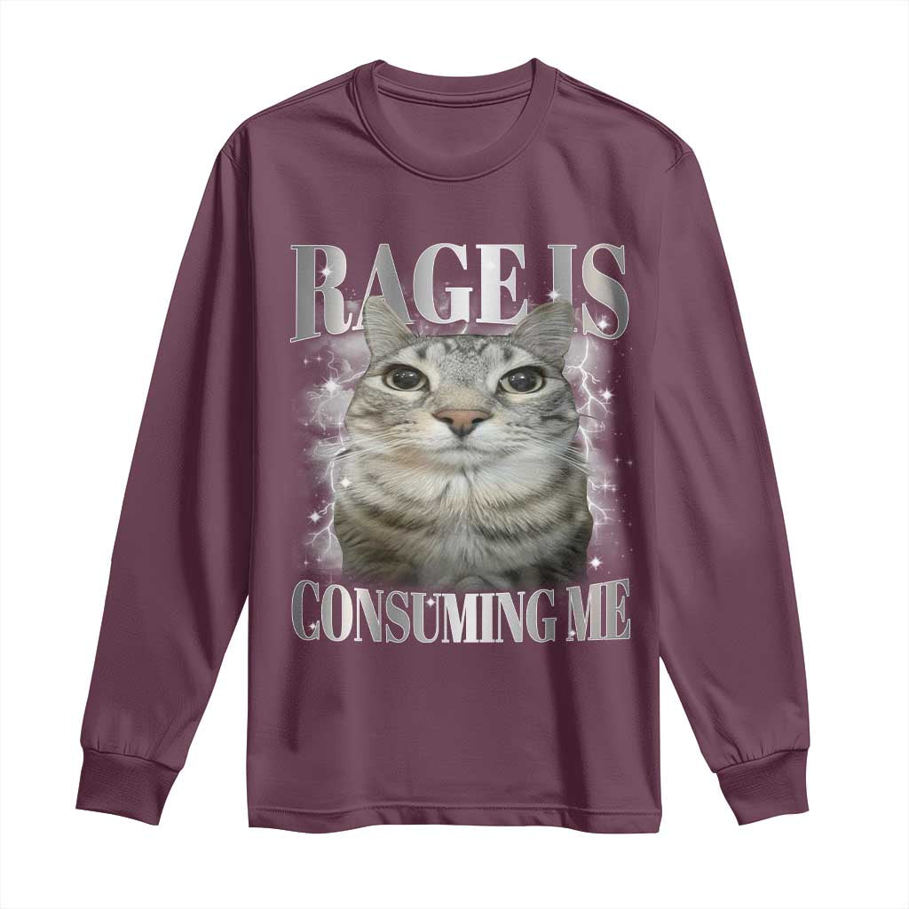 Rage Is Consuming Me Long Sleeve Shirt Funny Silly Cat Memes - Wonder Print Shop