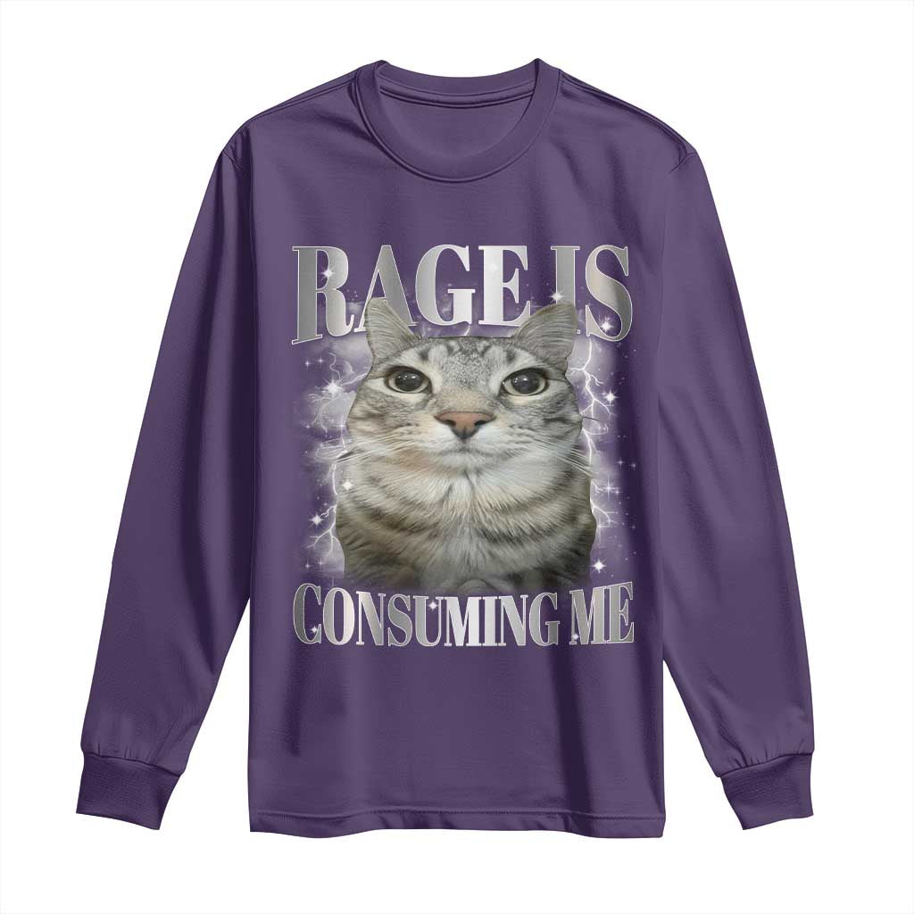 Rage Is Consuming Me Long Sleeve Shirt Funny Silly Cat Memes - Wonder Print Shop