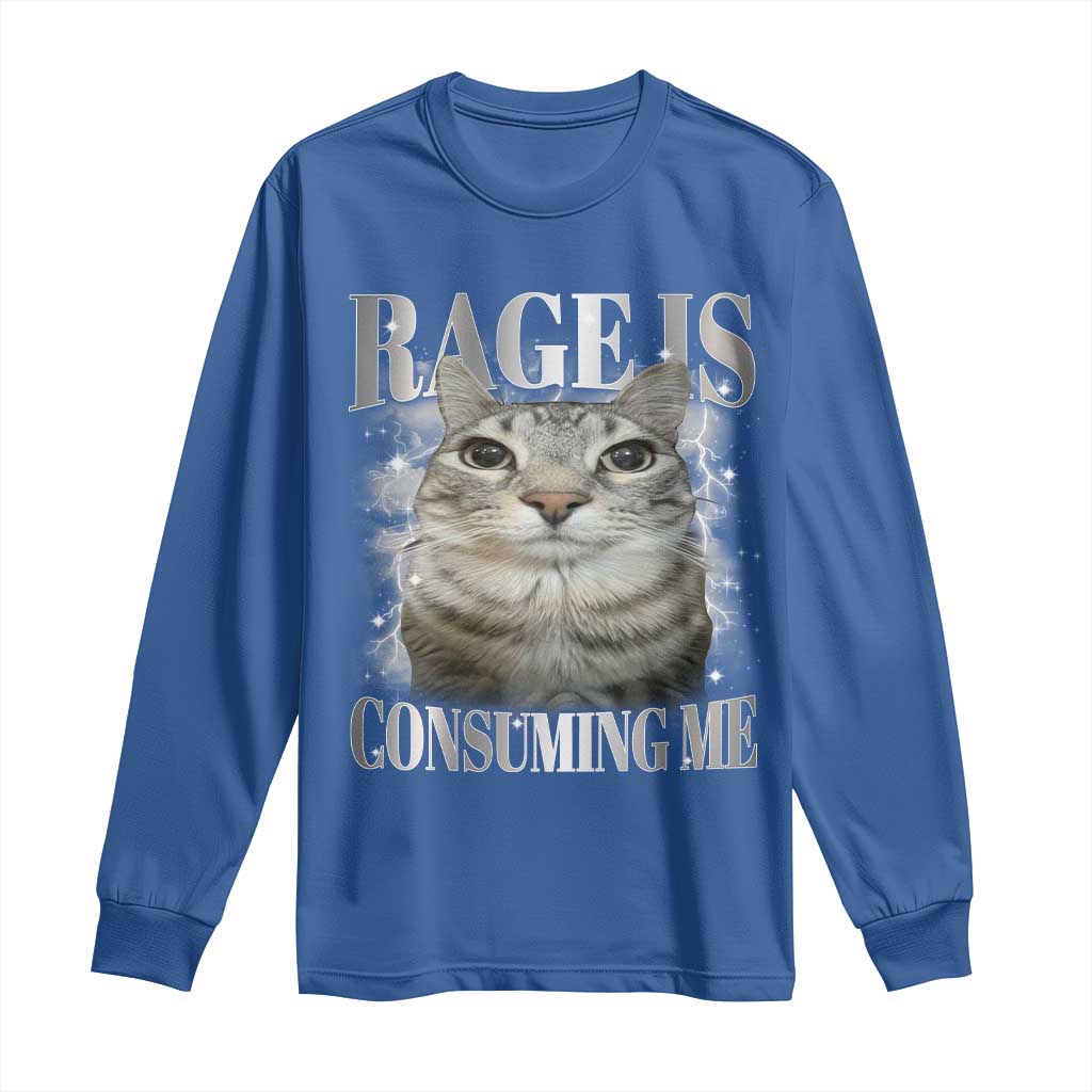 Rage Is Consuming Me Long Sleeve Shirt Funny Silly Cat Memes - Wonder Print Shop