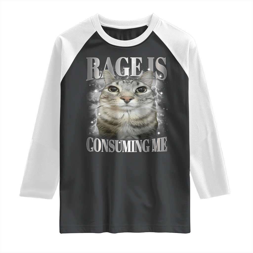 Rage Is Consuming Me Raglan Shirt Funny Silly Cat Memes - Wonder Print Shop