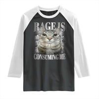 Rage Is Consuming Me Raglan Shirt Funny Silly Cat Memes - Wonder Print Shop