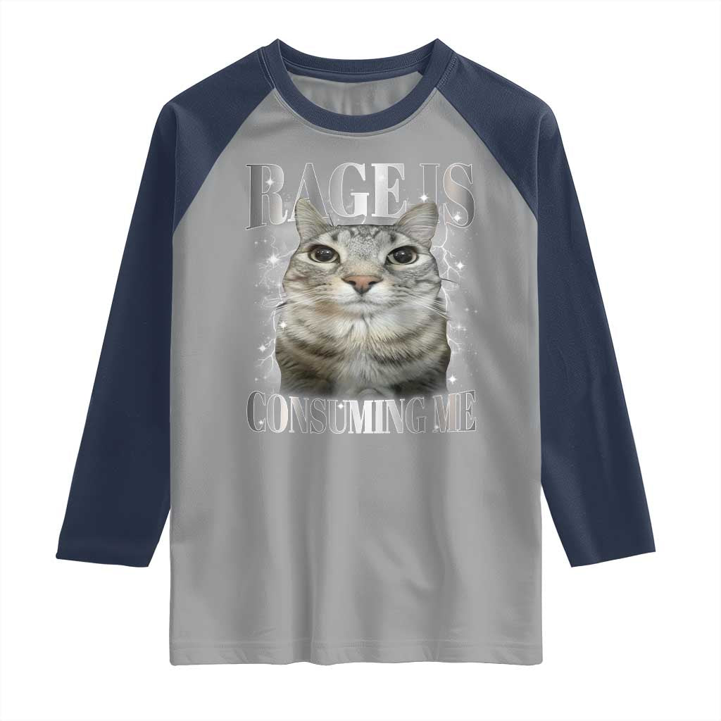 Rage Is Consuming Me Raglan Shirt Funny Silly Cat Memes - Wonder Print Shop