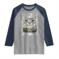 Rage Is Consuming Me Raglan Shirt Funny Silly Cat Memes - Wonder Print Shop