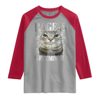 Rage Is Consuming Me Raglan Shirt Funny Silly Cat Memes - Wonder Print Shop