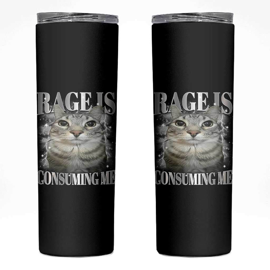 Rage Is Consuming Me Skinny Tumbler Funny Silly Cat Memes - Wonder Print Shop
