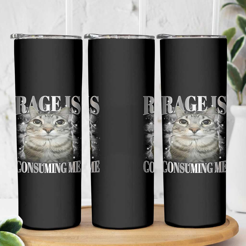 Rage Is Consuming Me Skinny Tumbler Funny Silly Cat Memes - Wonder Print Shop