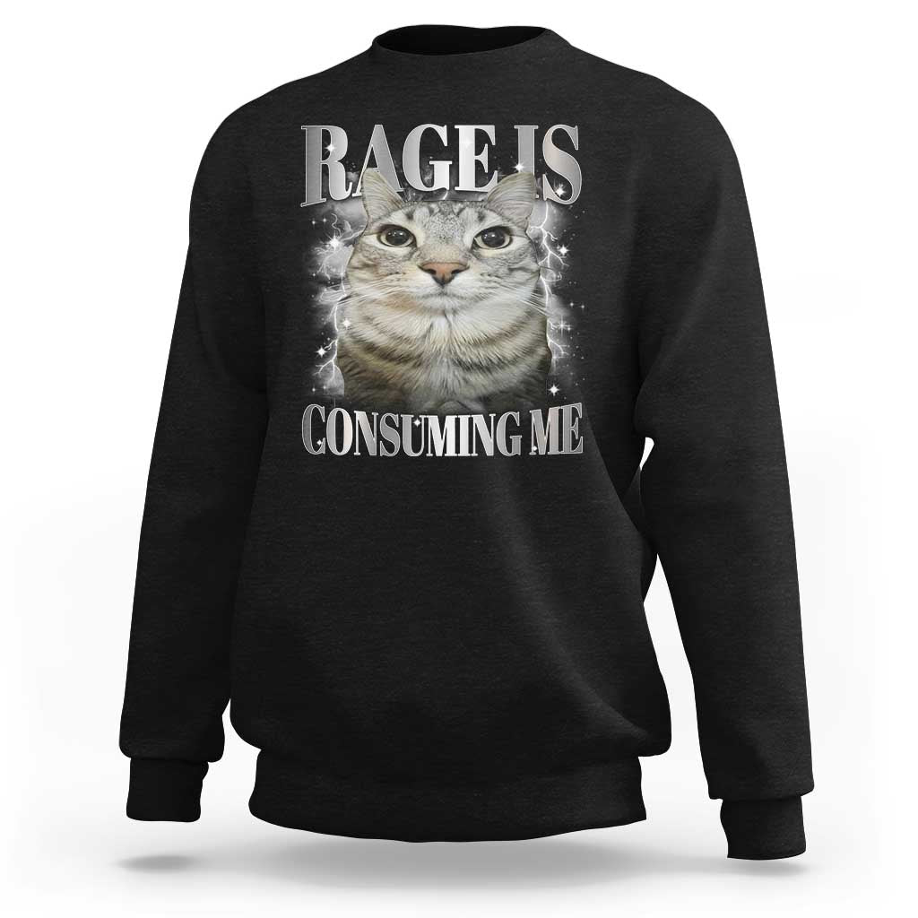 Rage Is Consuming Me Sweatshirt Funny Silly Cat Memes - Wonder Print Shop