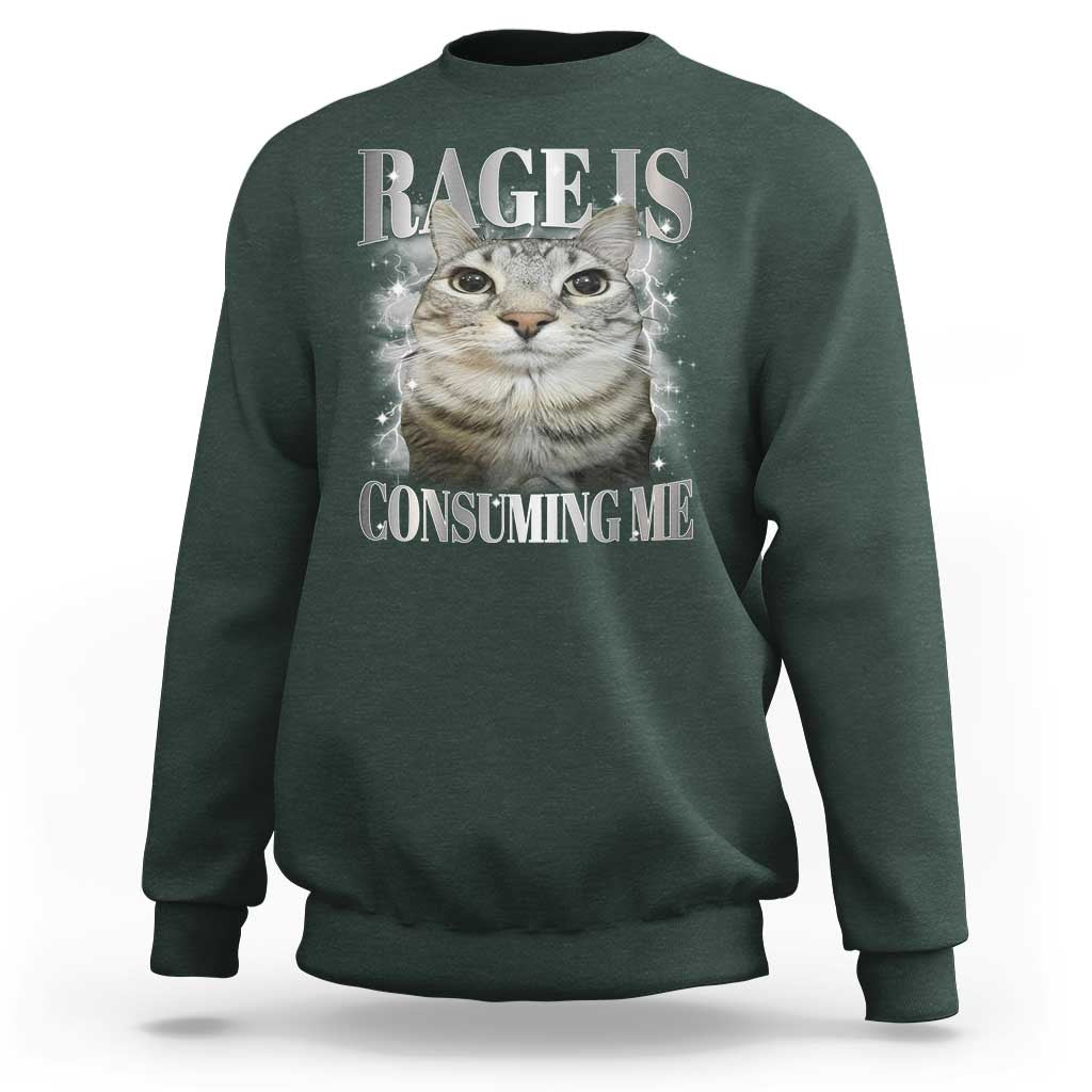 Rage Is Consuming Me Sweatshirt Funny Silly Cat Memes - Wonder Print Shop