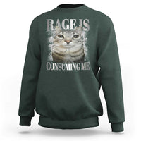 Rage Is Consuming Me Sweatshirt Funny Silly Cat Memes - Wonder Print Shop