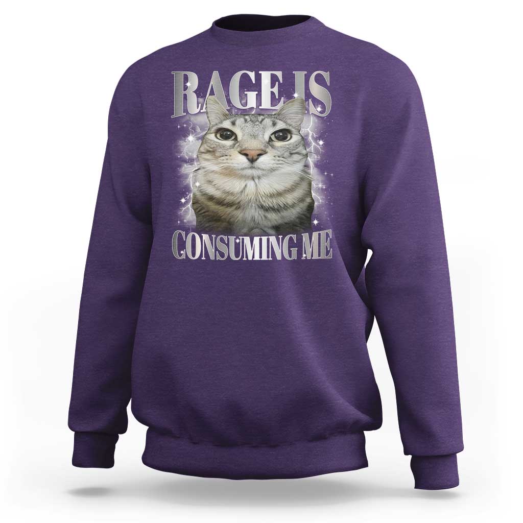 Rage Is Consuming Me Sweatshirt Funny Silly Cat Memes - Wonder Print Shop