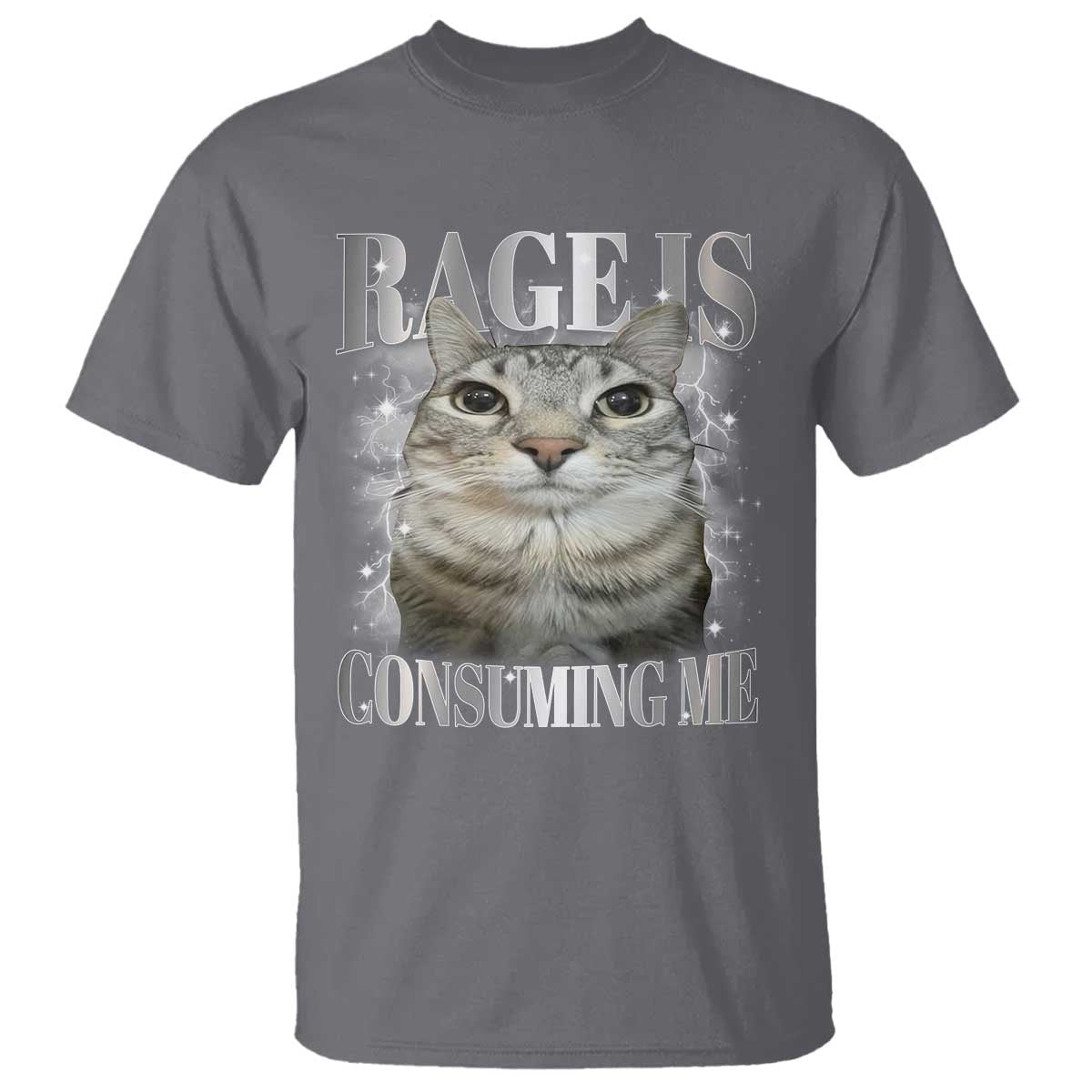 Rage Is Consuming Me T Shirt Funny Silly Cat Memes - Wonder Print Shop