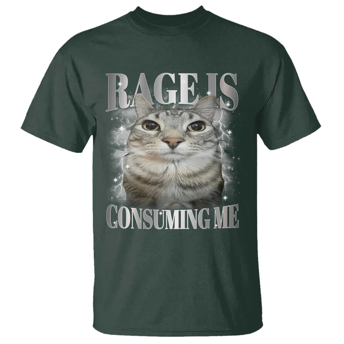 Rage Is Consuming Me T Shirt Funny Silly Cat Memes - Wonder Print Shop