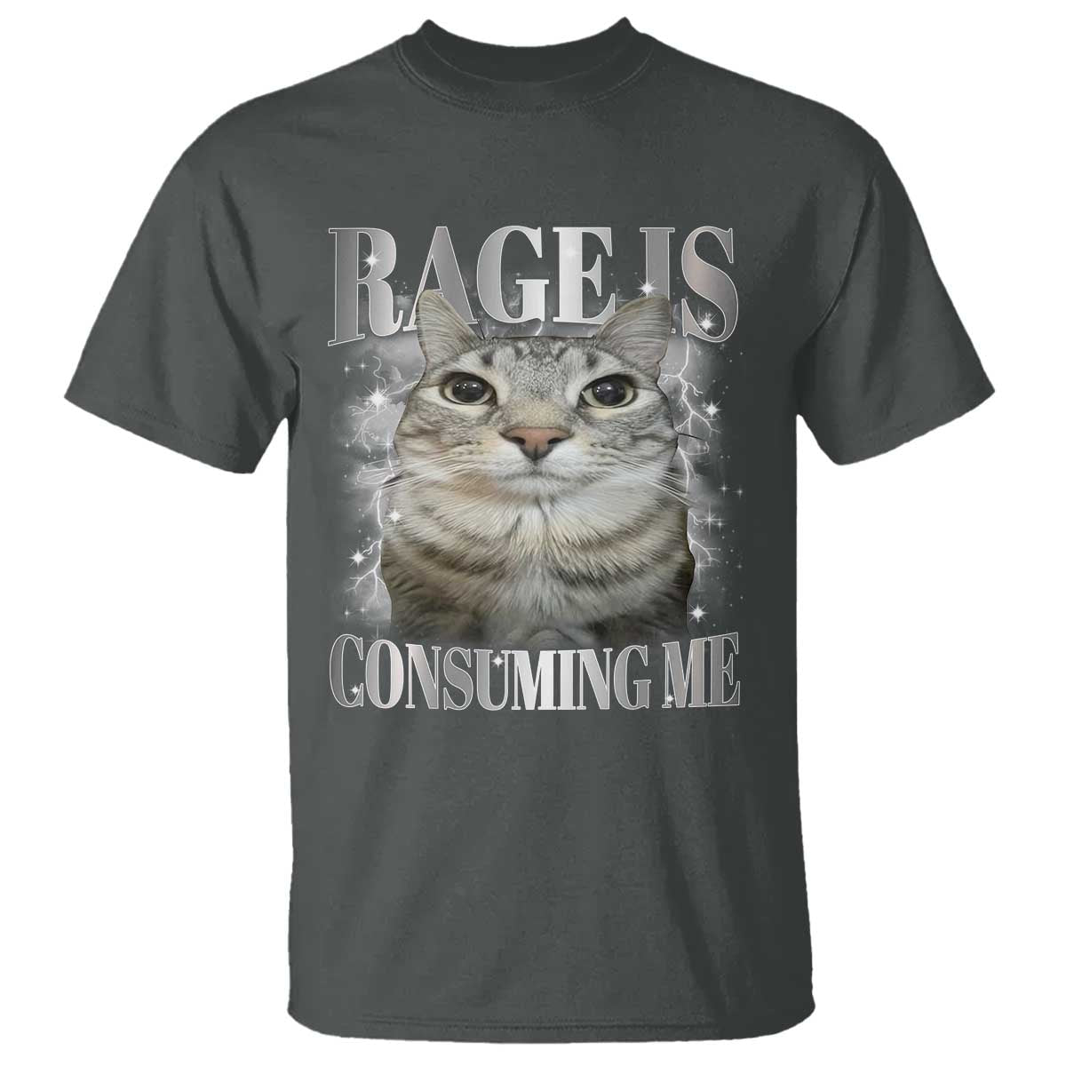 Rage Is Consuming Me T Shirt Funny Silly Cat Memes - Wonder Print Shop