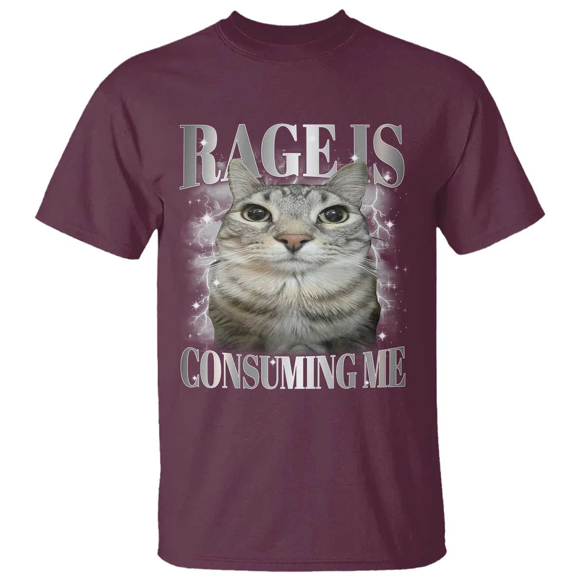 Rage Is Consuming Me T Shirt Funny Silly Cat Memes - Wonder Print Shop