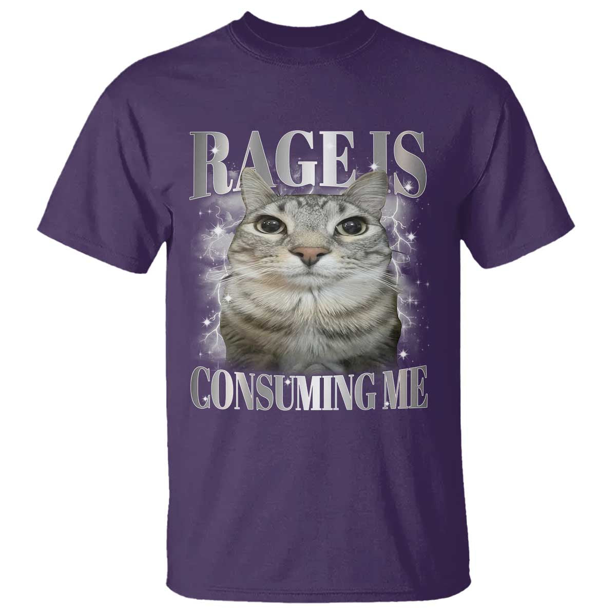 Rage Is Consuming Me T Shirt Funny Silly Cat Memes - Wonder Print Shop