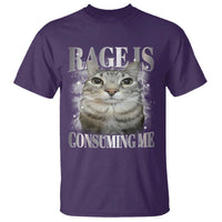 Rage Is Consuming Me T Shirt Funny Silly Cat Memes - Wonder Print Shop
