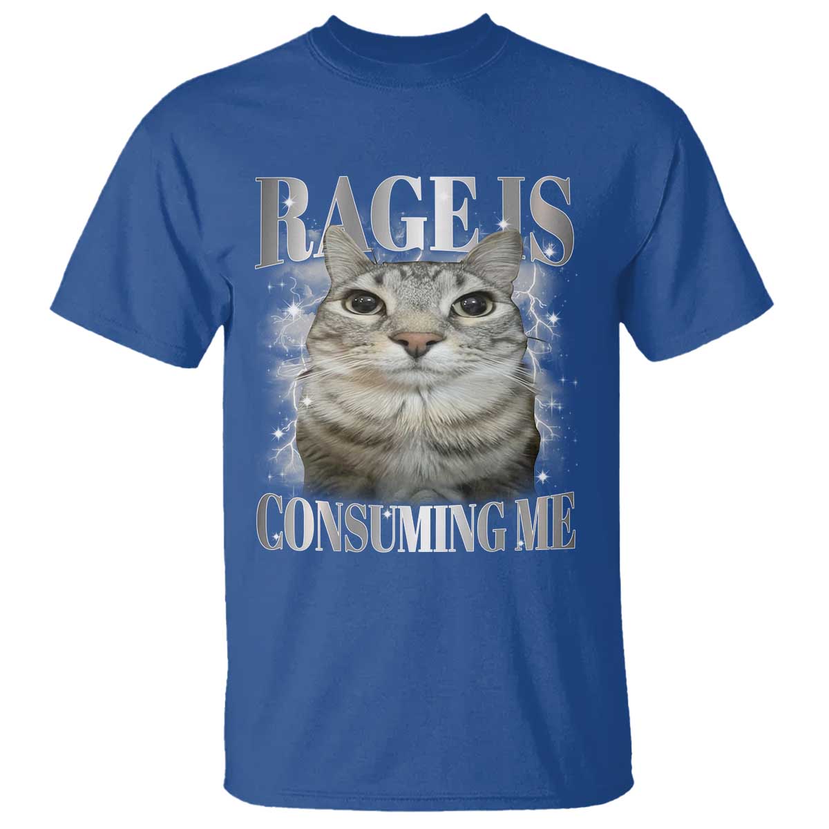 Rage Is Consuming Me T Shirt Funny Silly Cat Memes - Wonder Print Shop