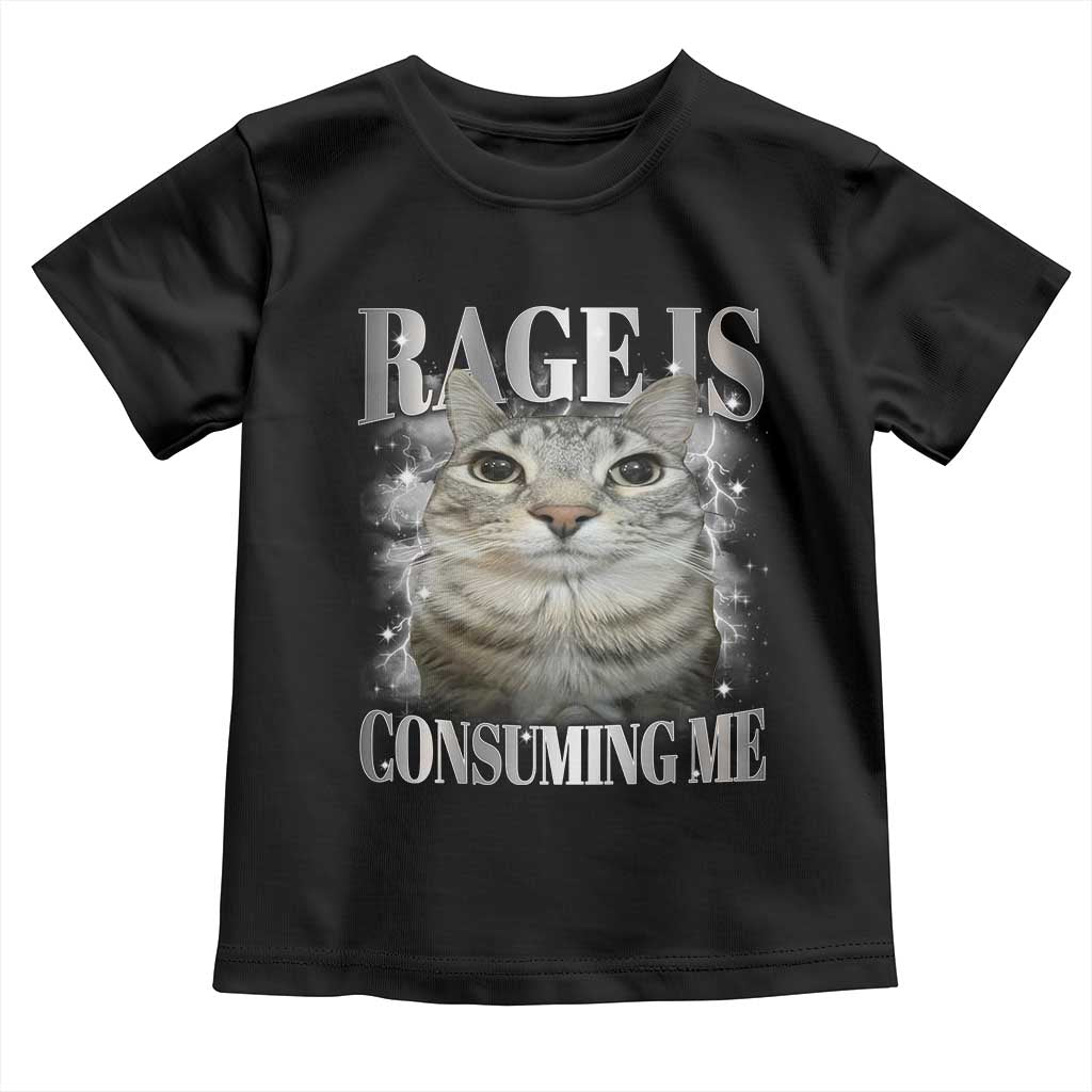 Rage Is Consuming Me Toddler T Shirt Funny Silly Cat Memes - Wonder Print Shop