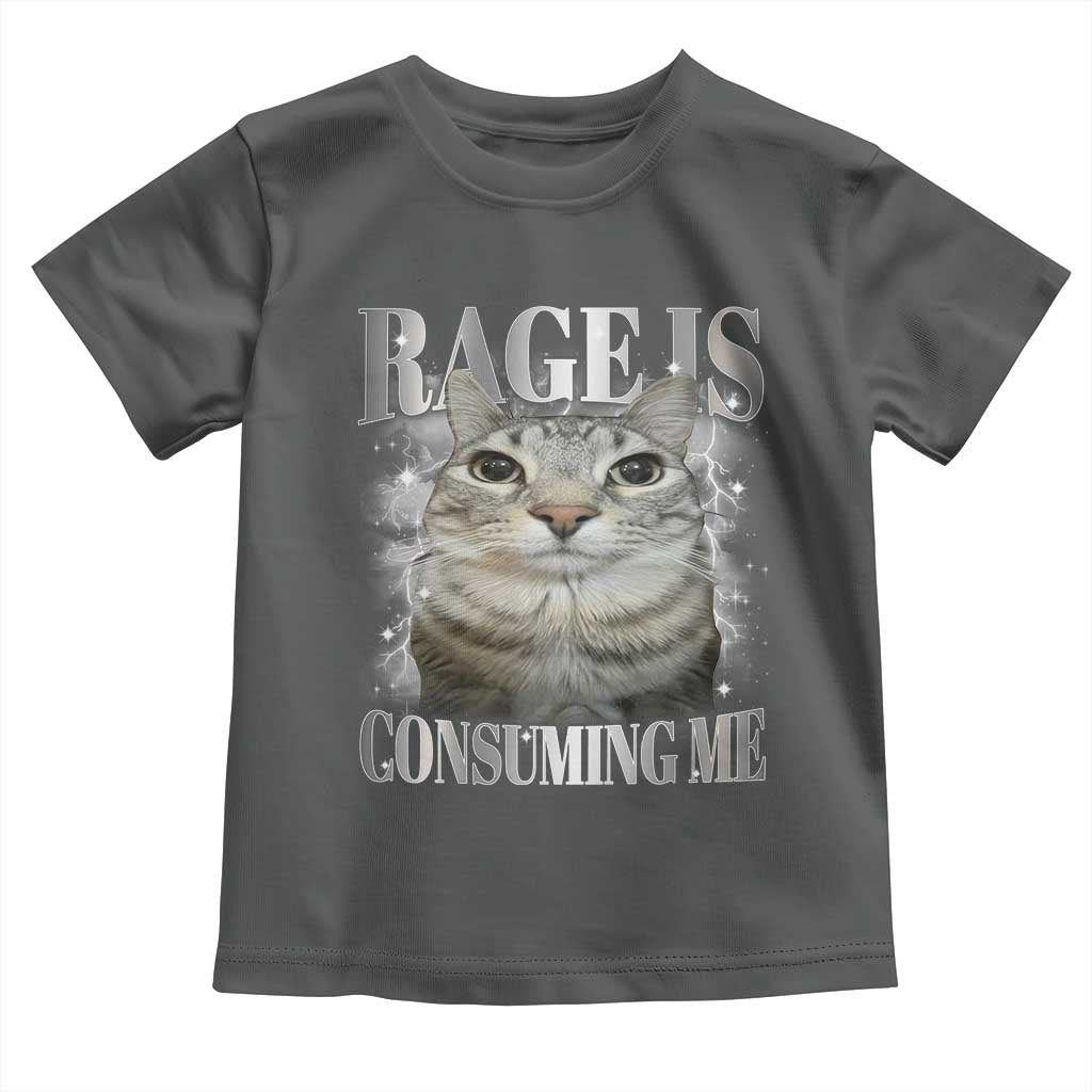 Rage Is Consuming Me Toddler T Shirt Funny Silly Cat Memes - Wonder Print Shop