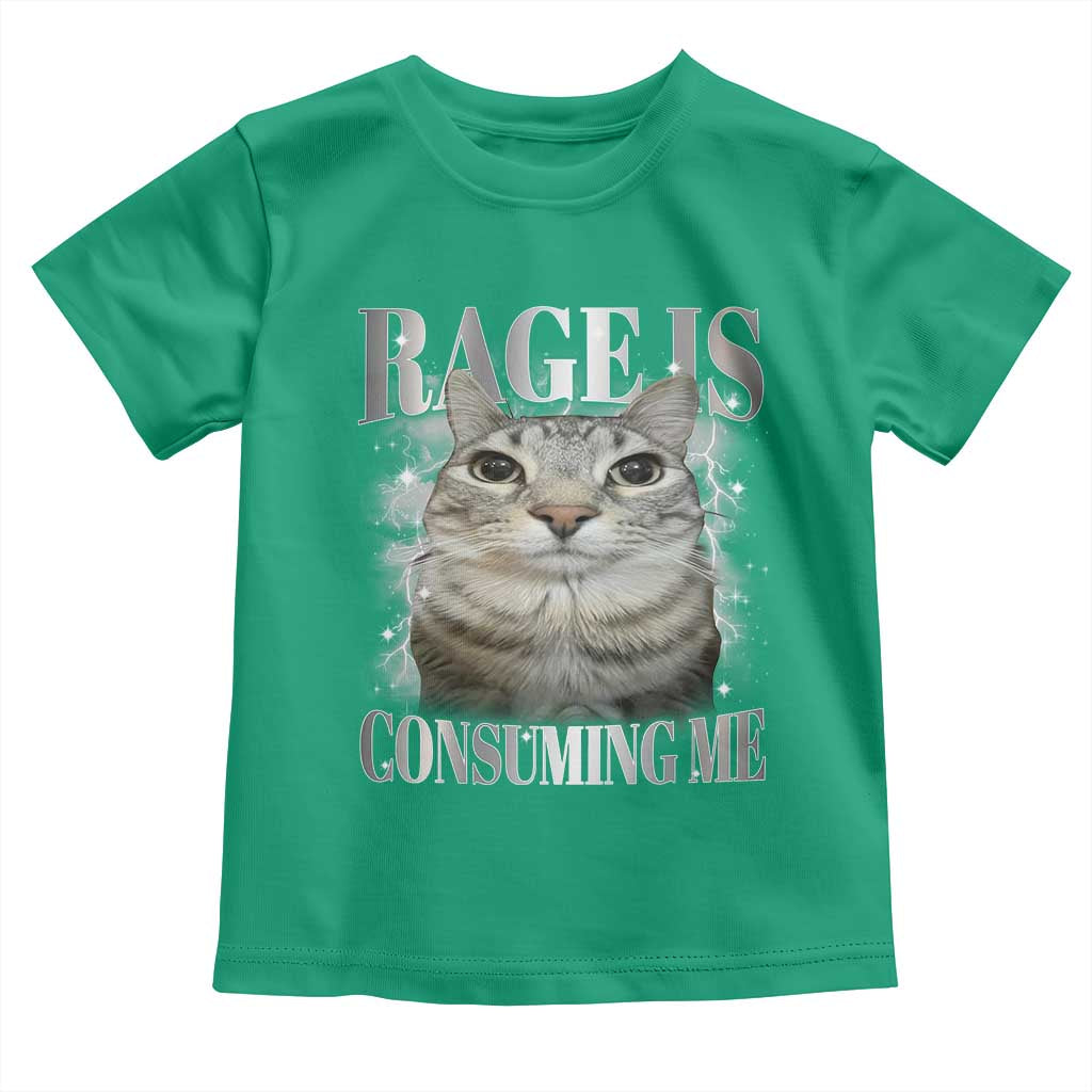 Rage Is Consuming Me Toddler T Shirt Funny Silly Cat Memes - Wonder Print Shop