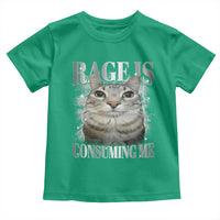 Rage Is Consuming Me Toddler T Shirt Funny Silly Cat Memes - Wonder Print Shop