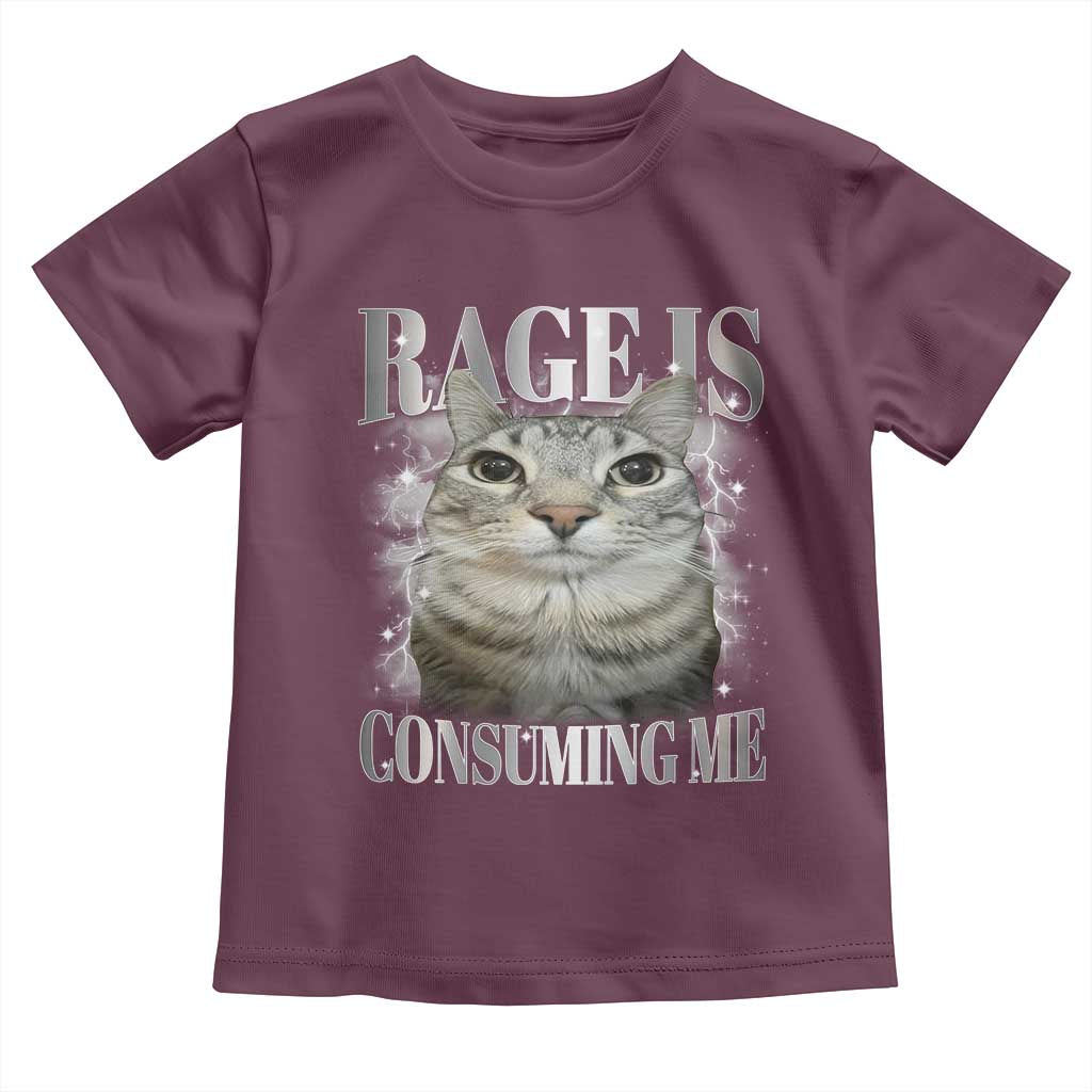 Rage Is Consuming Me Toddler T Shirt Funny Silly Cat Memes - Wonder Print Shop
