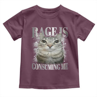 Rage Is Consuming Me Toddler T Shirt Funny Silly Cat Memes - Wonder Print Shop
