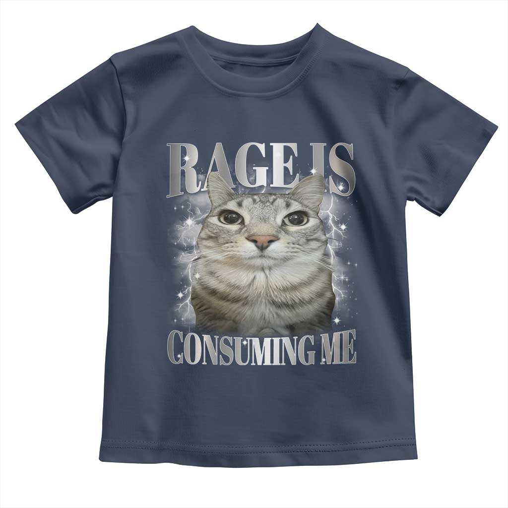 Rage Is Consuming Me Toddler T Shirt Funny Silly Cat Memes - Wonder Print Shop