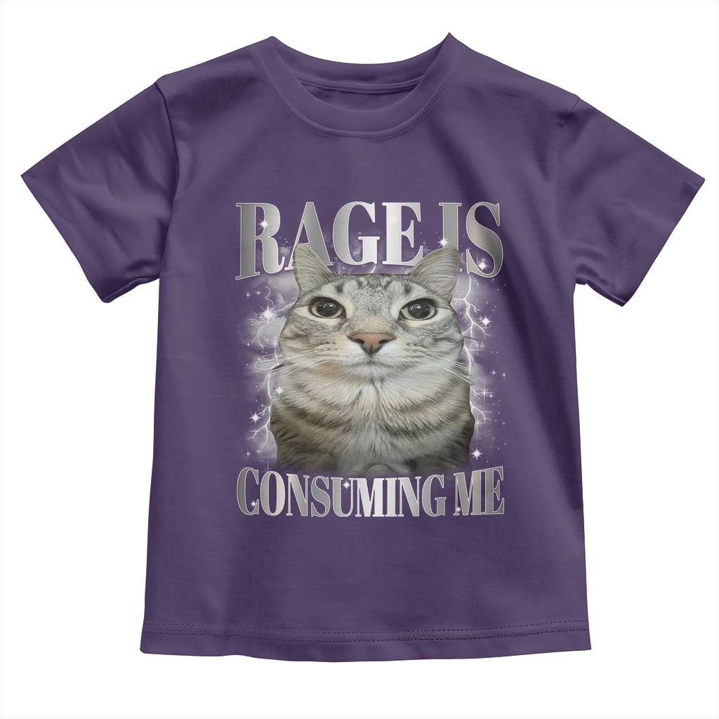Rage Is Consuming Me Toddler T Shirt Funny Silly Cat Memes - Wonder Print Shop